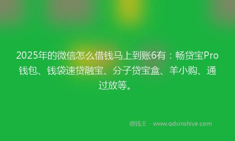 2025年的微信怎么借钱马上到账6有：畅贷宝Pro钱包、钱袋速贷融宝、分子贷宝盒、羊小购、通过放等。