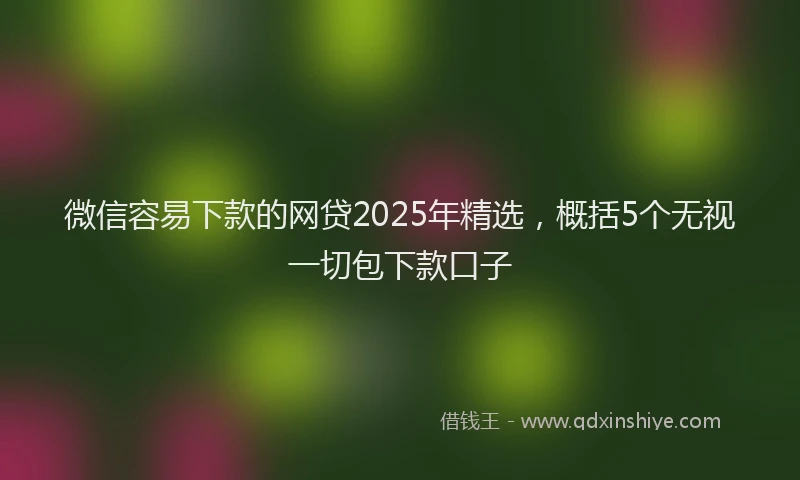 微信容易下款的网贷2025年精选，概括5个无视一切包下款口子