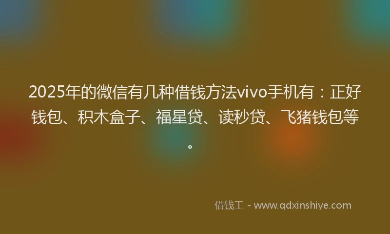 2025年的微信有几种借钱方法vivo手机有：正好钱包、积木盒子、福星贷、读秒贷、飞猪钱包等。