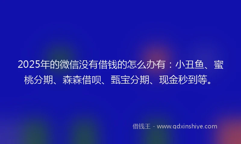 2025年的微信没有借钱的怎么办有：小丑鱼、蜜桃分期、森森借呗、甄宝分期、现金秒到等。