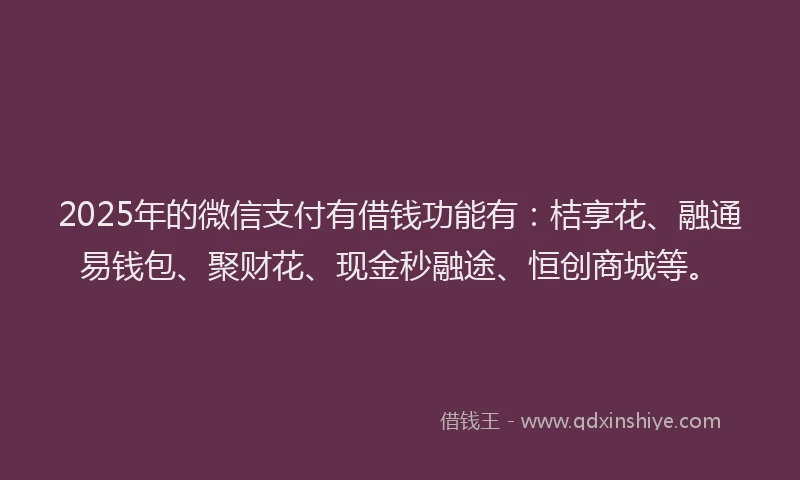 2025年的微信支付有借钱功能有：桔享花、融通易钱包、聚财花、现金秒融途、恒创商城等。