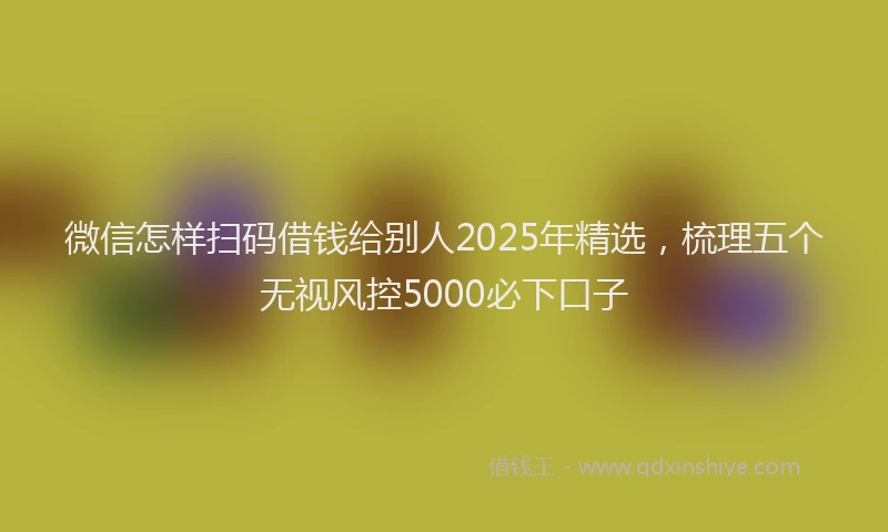 微信怎样扫码借钱给别人2025年精选，梳理五个无视风控5000必下口子