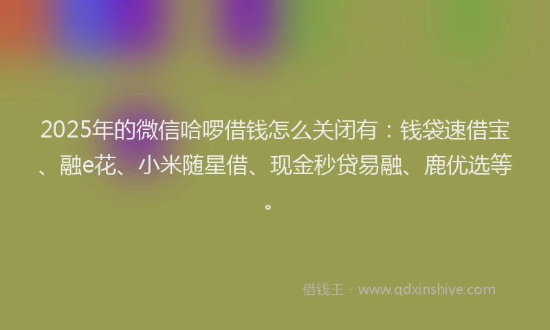 2025年的微信哈啰借钱怎么关闭有：钱袋速借宝、融e花、小米随星借、现金秒贷易融、鹿优选等。