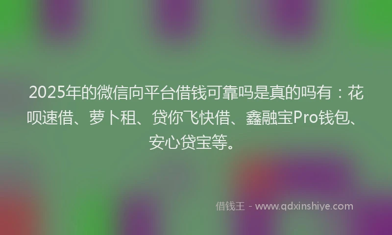 2025年的微信向平台借钱可靠吗是真的吗有：花呗速借、萝卜租、贷你飞快借、鑫融宝Pro钱包、安心贷宝等。