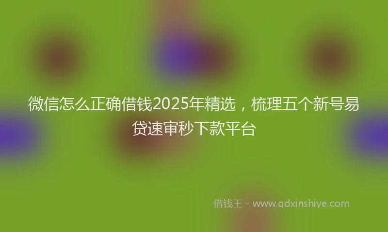 微信怎么正确借钱2025年精选，梳理五个新号易贷速审秒下款平台