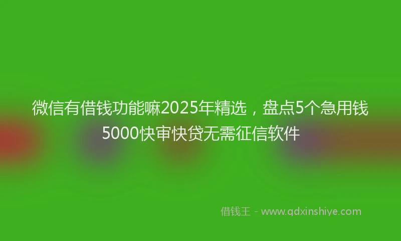 微信有借钱功能嘛2025年精选，盘点5个急用钱5000快审快贷无需征信软件