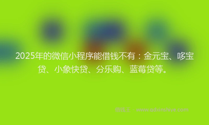 2025年的微信小程序能借钱不有：金元宝、哆宝贷、小象快贷、分乐购、蓝莓贷等。