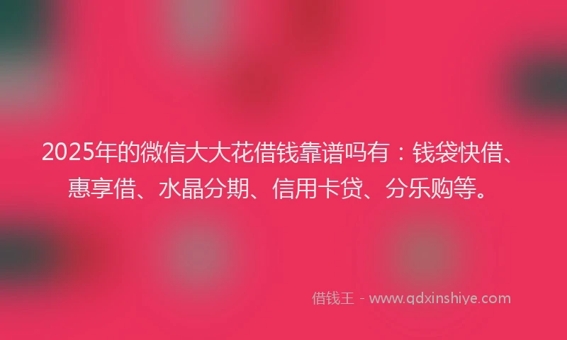 2025年的微信大大花借钱靠谱吗有：钱袋快借、惠享借、水晶分期、信用卡贷、分乐购等。