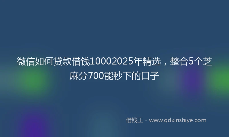 微信如何贷款借钱10002025年精选，整合5个芝麻分700能秒下的口子