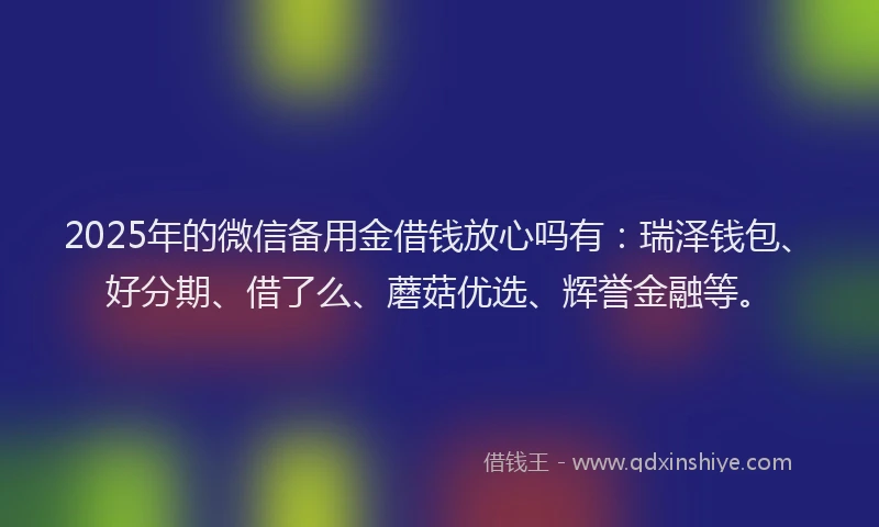 2025年的微信备用金借钱放心吗有：瑞泽钱包、好分期、借了么、蘑菇优选、辉誉金融等。