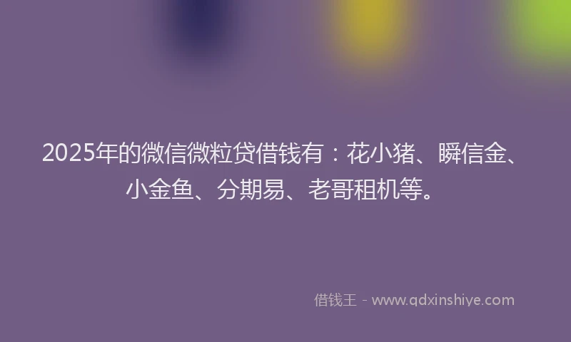 2025年的微信微粒贷借钱有：花小猪、瞬信金、小金鱼、分期易、老哥租机等。