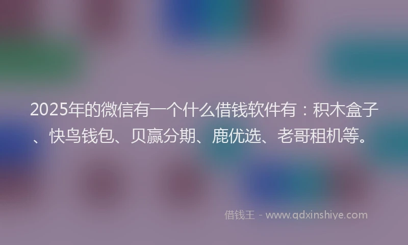 2025年的微信有一个什么借钱软件有：积木盒子、快鸟钱包、贝赢分期、鹿优选、老哥租机等。