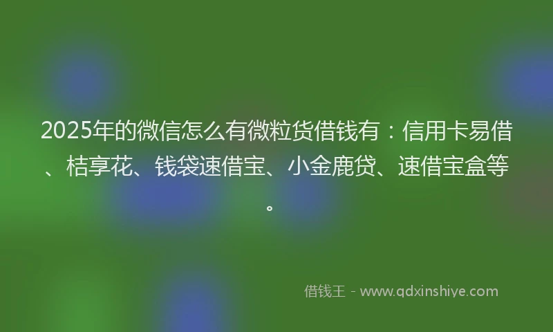 2025年的微信怎么有微粒货借钱有：信用卡易借、桔享花、钱袋速借宝、小金鹿贷、速借宝盒等。