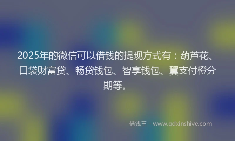 2025年的微信可以借钱的提现方式有：葫芦花、口袋财富贷、畅贷钱包、智享钱包、翼支付橙分期等。