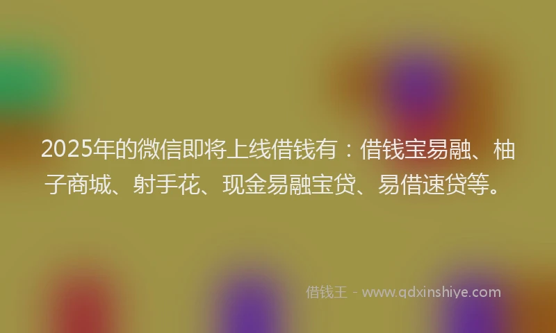 2025年的微信即将上线借钱有：借钱宝易融、柚子商城、射手花、现金易融宝贷、易借速贷等。