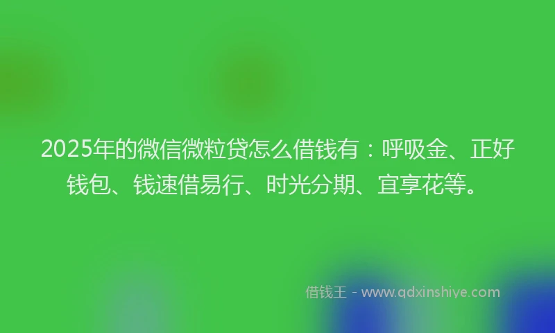 2025年的微信微粒贷怎么借钱有：呼吸金、正好钱包、钱速借易行、时光分期、宜享花等。