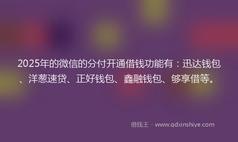 2025年的微信的分付开通借钱功能有：迅达钱包、洋葱速贷、正好钱包、鑫融钱包、够享借等。