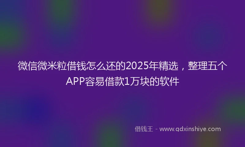 微信微米粒借钱怎么还的2025年精选，整理五个APP容易借款1万块的软件