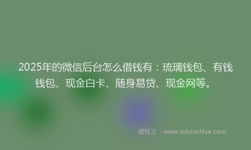 2025年的微信后台怎么借钱有：琉璃钱包、有钱钱包、现金白卡、随身易贷、现金网等。