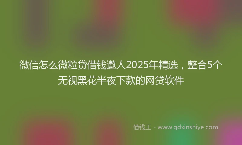 微信怎么微粒贷借钱邀人2025年精选，整合5个无视黑花半夜下款的网贷软件