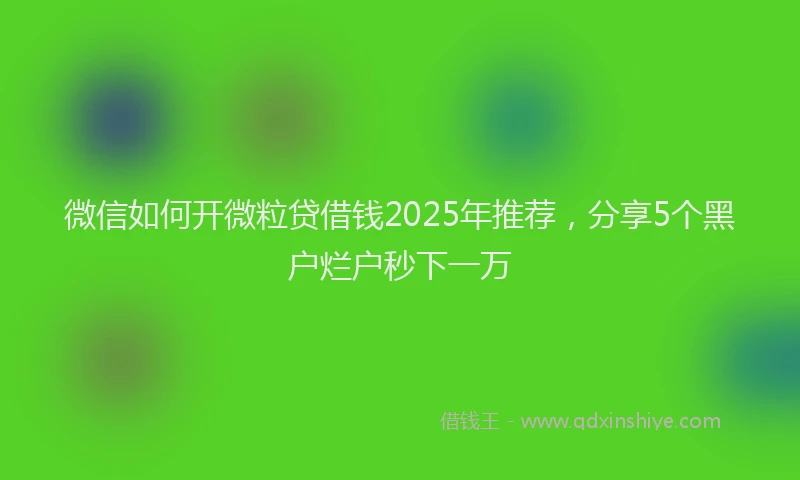 微信如何开微粒贷借钱2025年推荐，分享5个黑户烂户秒下一万