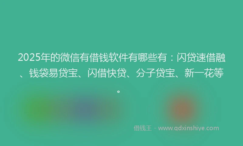 2025年的微信有借钱软件有哪些有：闪贷速借融、钱袋易贷宝、闪借快贷、分子贷宝、新一花等。