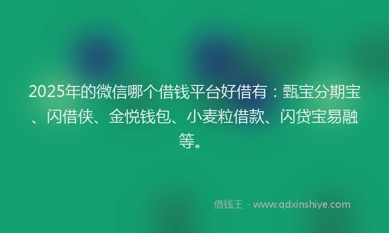 2025年的微信哪个借钱平台好借有：甄宝分期宝、闪借侠、金悦钱包、小麦粒借款、闪贷宝易融等。