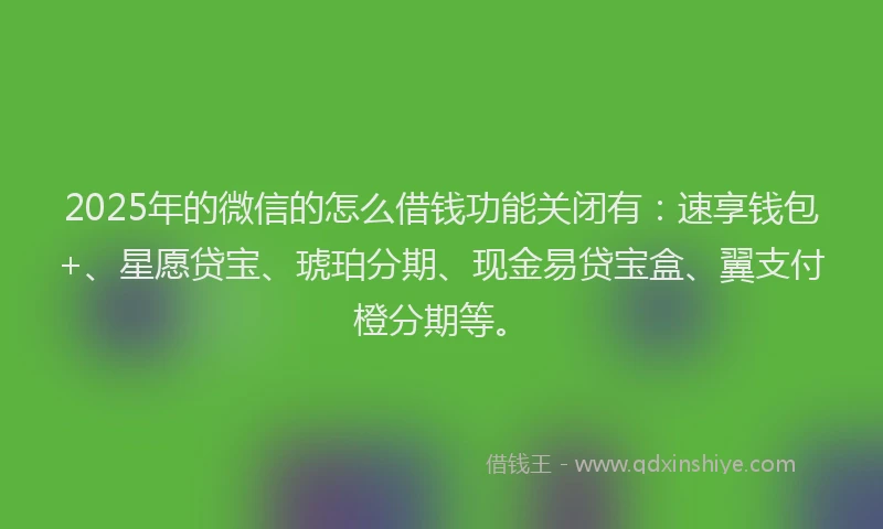 2025年的微信的怎么借钱功能关闭有：速享钱包+、星愿贷宝、琥珀分期、现金易贷宝盒、翼支付橙分期等。