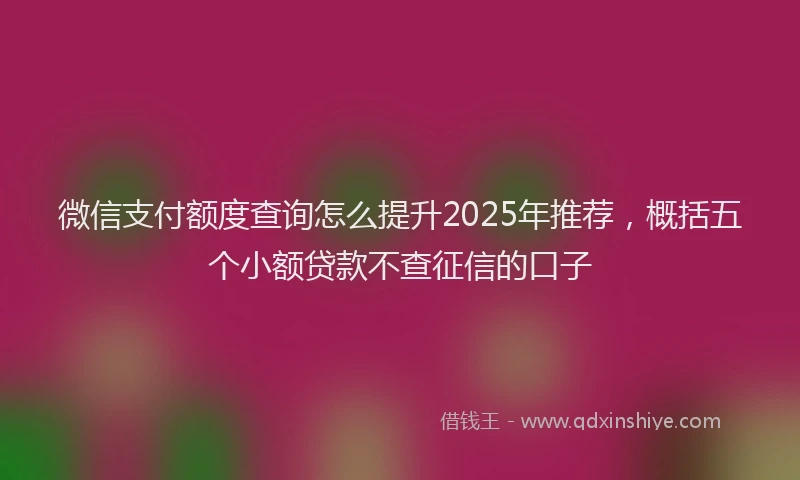 微信支付额度查询怎么提升2025年推荐，概括五个小额贷款不查征信的口子