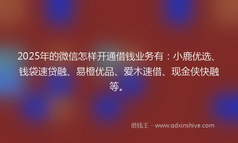 2025年的微信怎样开通借钱业务有：小鹿优选、钱袋速贷融、易橙优品、爱木速借、现金侠快融等。