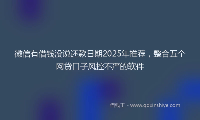微信有借钱没说还款日期2025年推荐，整合五个网贷口子风控不严的软件