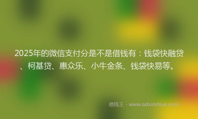 2025年的微信支付分是不是借钱有：钱袋快融贷、柯基贷、惠众乐、小牛金条、钱袋快易等。