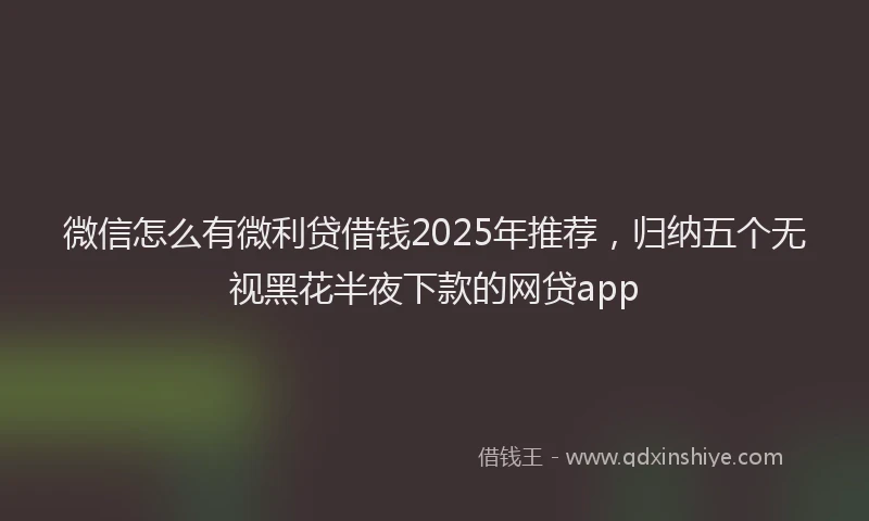微信怎么有微利贷借钱2025年推荐，归纳五个无视黑花半夜下款的网贷app
