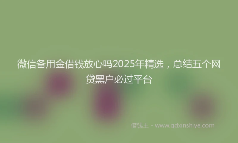 微信备用金借钱放心吗2025年精选，总结五个网贷黑户必过平台