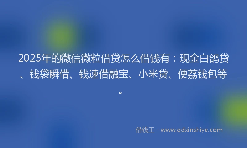 2025年的微信微粒借贷怎么借钱有：现金白鸽贷、钱袋瞬借、钱速借融宝、小米贷、便荔钱包等。