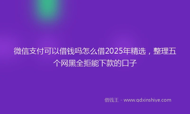 微信支付可以借钱吗怎么借2025年精选，整理五个网黑全拒能下款的口子