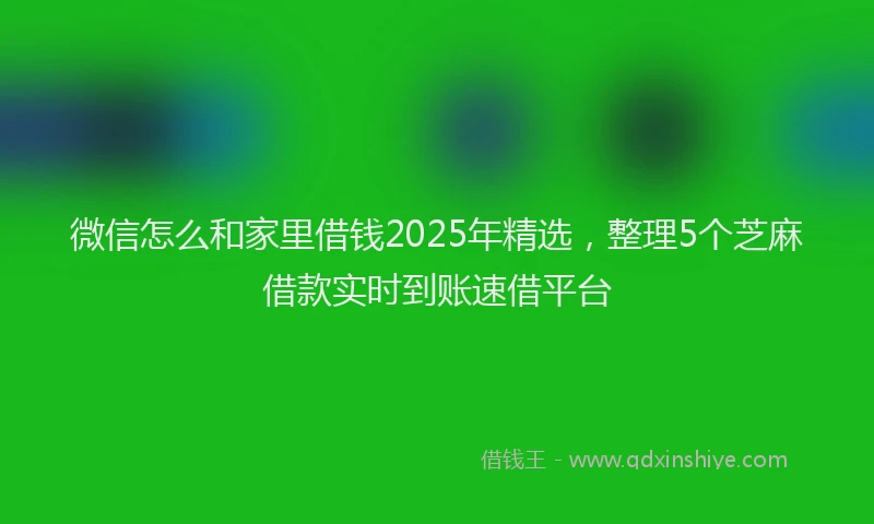 微信怎么和家里借钱2025年精选，整理5个芝麻借款实时到账速借平台