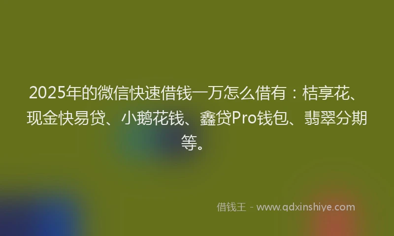 2025年的微信快速借钱一万怎么借有：桔享花、现金快易贷、小鹅花钱、鑫贷Pro钱包、翡翠分期等。