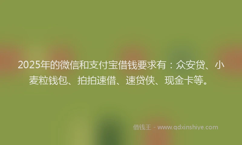 2025年的微信和支付宝借钱要求有：众安贷、小麦粒钱包、拍拍速借、速贷侠、现金卡等。