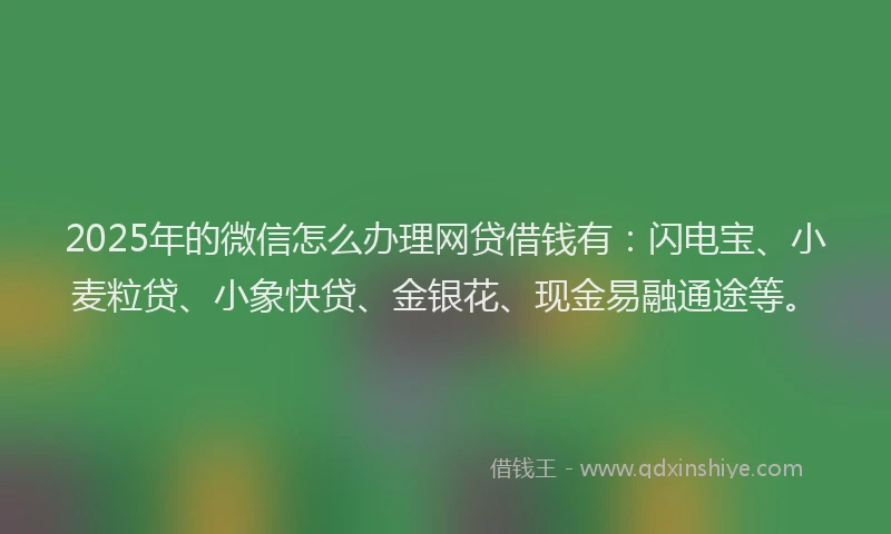2025年的微信怎么办理网贷借钱有：闪电宝、小麦粒贷、小象快贷、金银花、现金易融通途等。