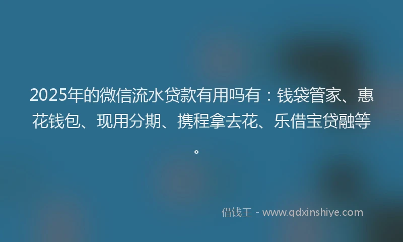 2025年的微信流水贷款有用吗有：钱袋管家、惠花钱包、现用分期、携程拿去花、乐借宝贷融等。