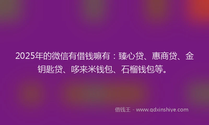 2025年的微信有借钱嘛有：臻心贷、惠商贷、金钥匙贷、哆来米钱包、石榴钱包等。