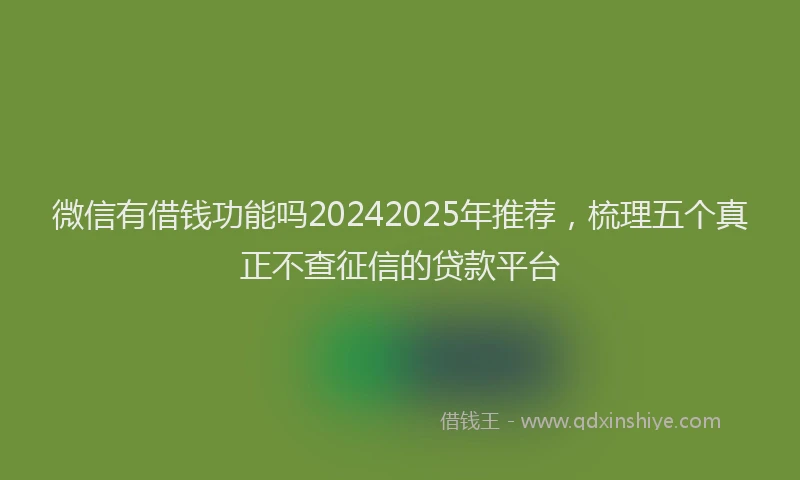 微信有借钱功能吗20242025年推荐，梳理五个真正不查征信的贷款平台