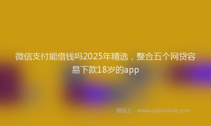 微信支付能借钱吗2025年精选，整合五个网贷容易下款18岁的app