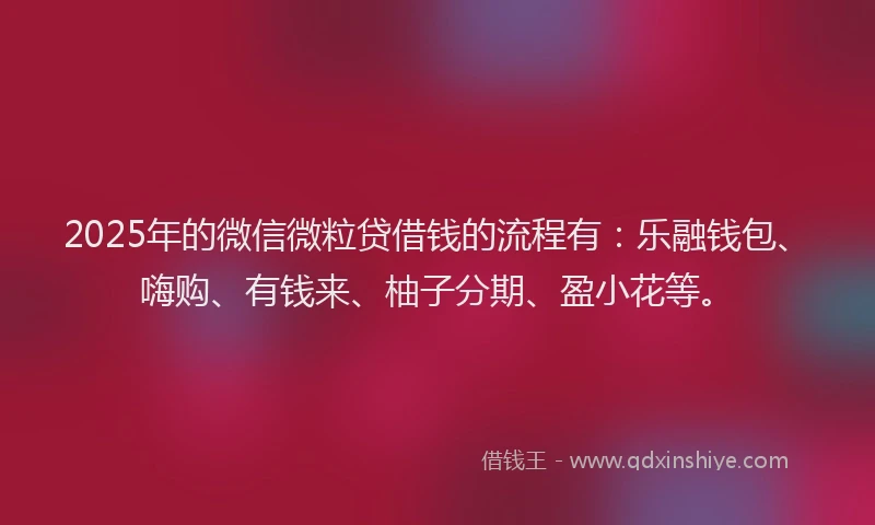 2025年的微信微粒贷借钱的流程有：乐融钱包、嗨购、有钱来、柚子分期、盈小花等。