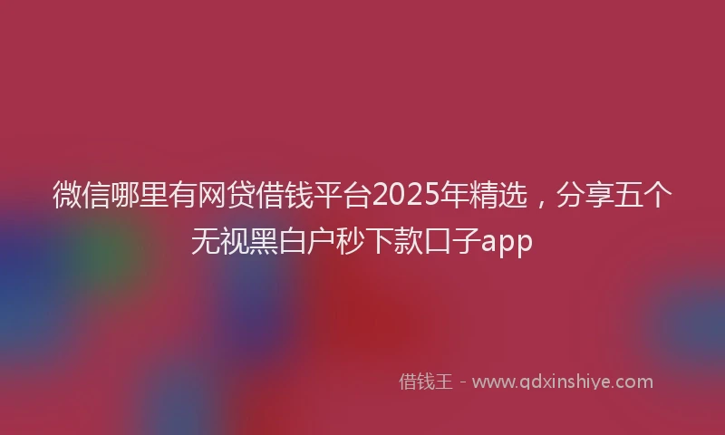 微信哪里有网贷借钱平台2025年精选，分享五个无视黑白户秒下款口子app