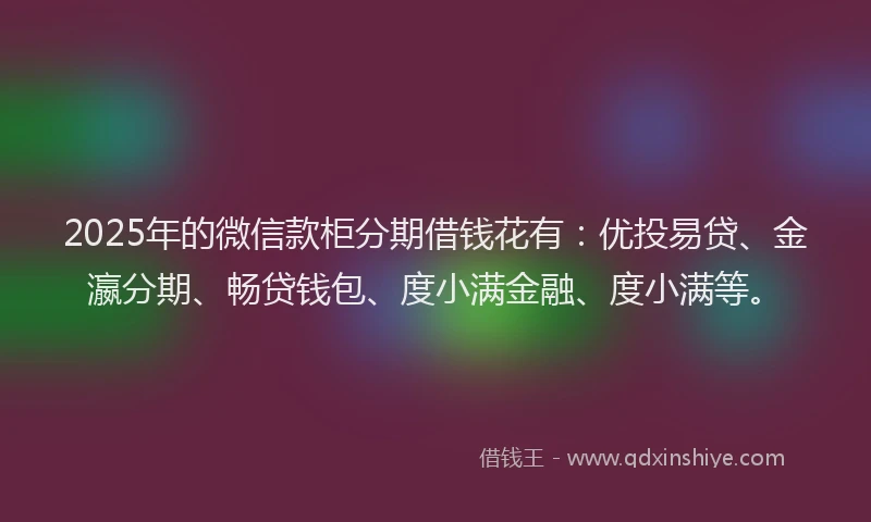 2025年的微信款柜分期借钱花有：优投易贷、金瀛分期、畅贷钱包、度小满金融、度小满等。