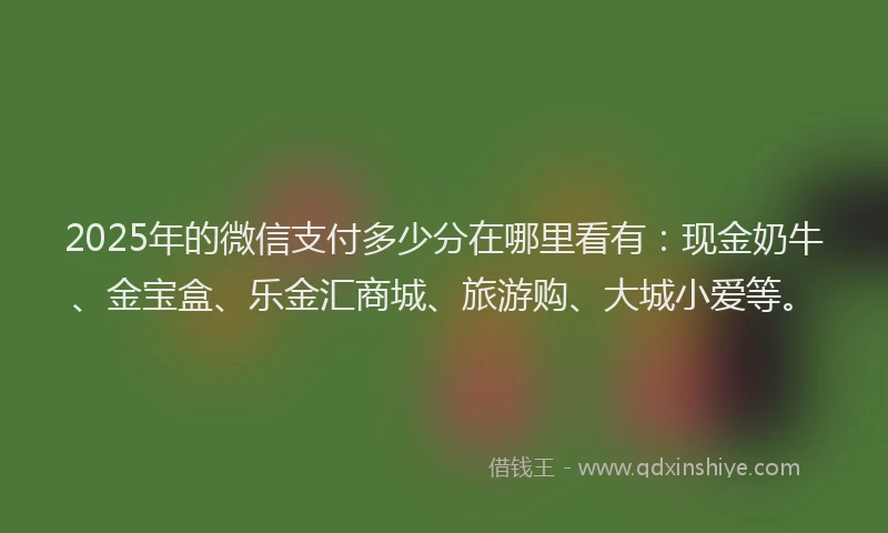 2025年的微信支付多少分在哪里看有：现金奶牛、金宝盒、乐金汇商城、旅游购、大城小爱等。