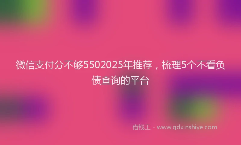 微信支付分不够5502025年推荐，梳理5个不看负债查询的平台