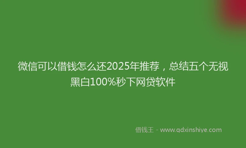 微信可以借钱怎么还2025年推荐，总结五个无视黑白100%秒下网贷软件